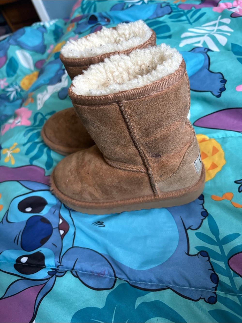 UGG Classic Short Boots - Chestnut and Black Pairs - Picture 5 of 16